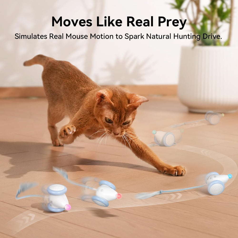 Cheerble Wicked Mouse Neo glowing nose entices nighttime play for cats