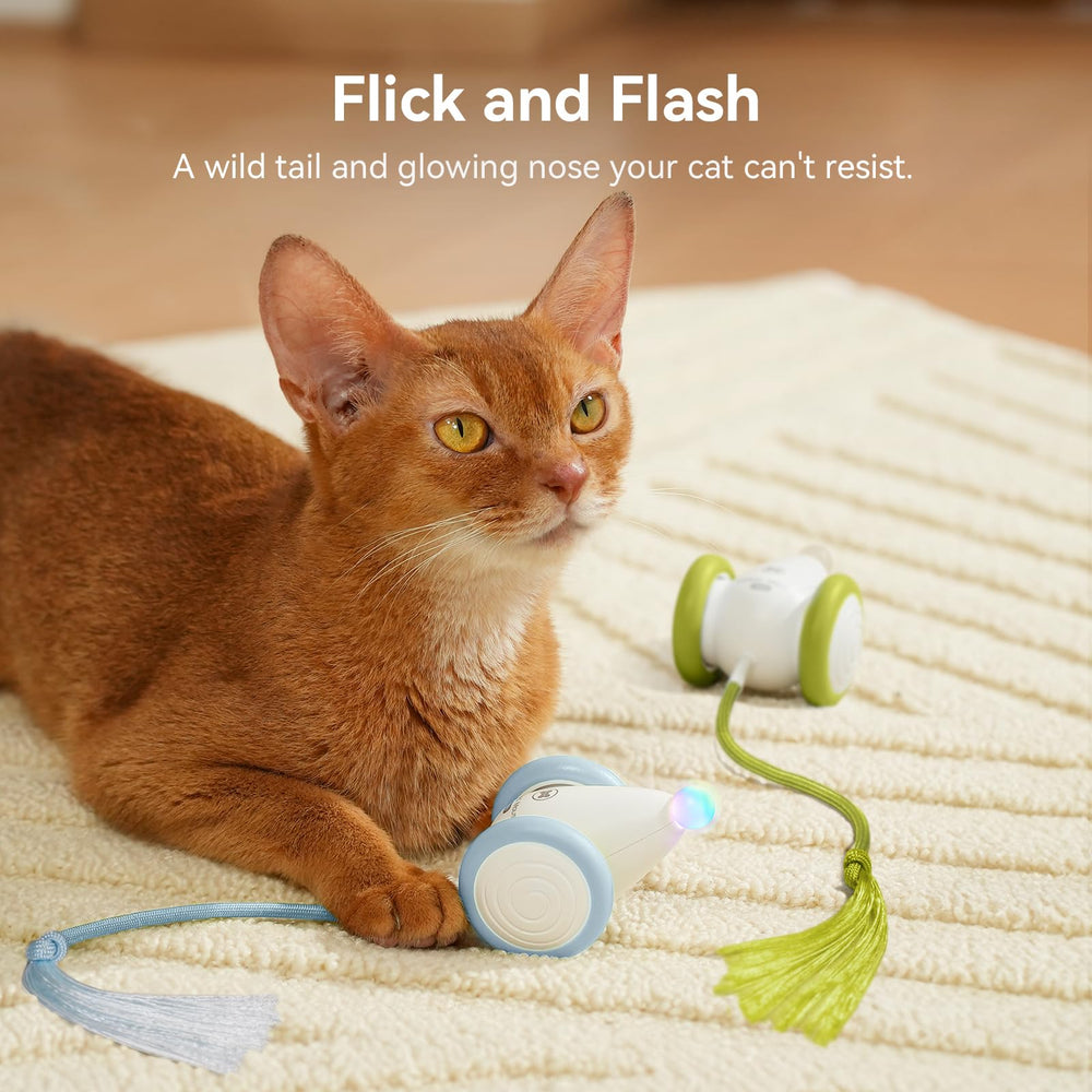 Cheerble Wicked Mouse Neo rechargeable battery keeps play ready