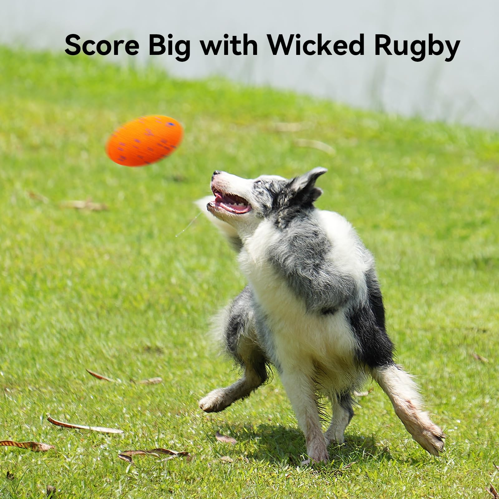 Cheerble Wicked Rugby bouncing and rotating motion keeps dogs engaged.