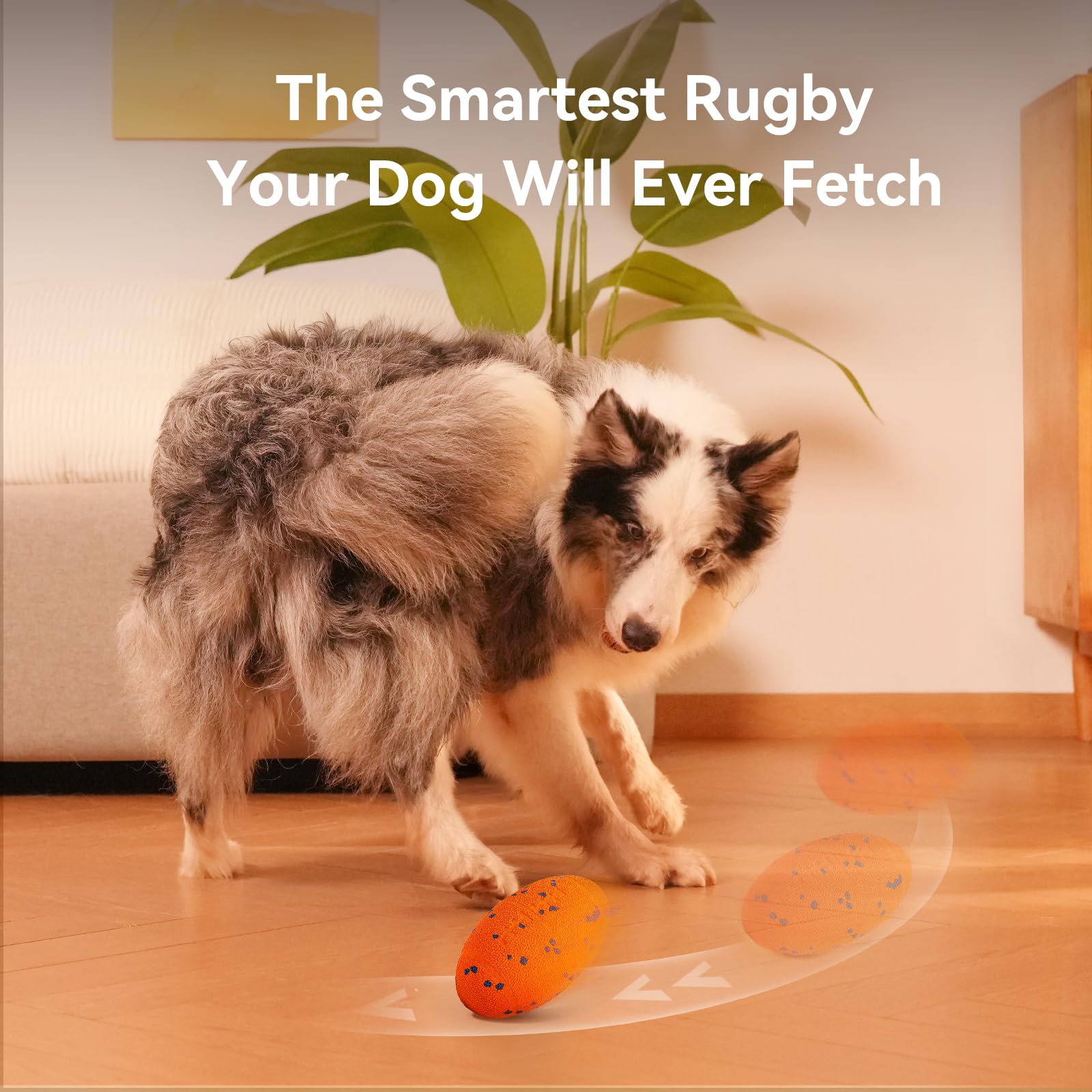 Cheerble Wicked Rugby suitable for small to large dogs during interactive play.
