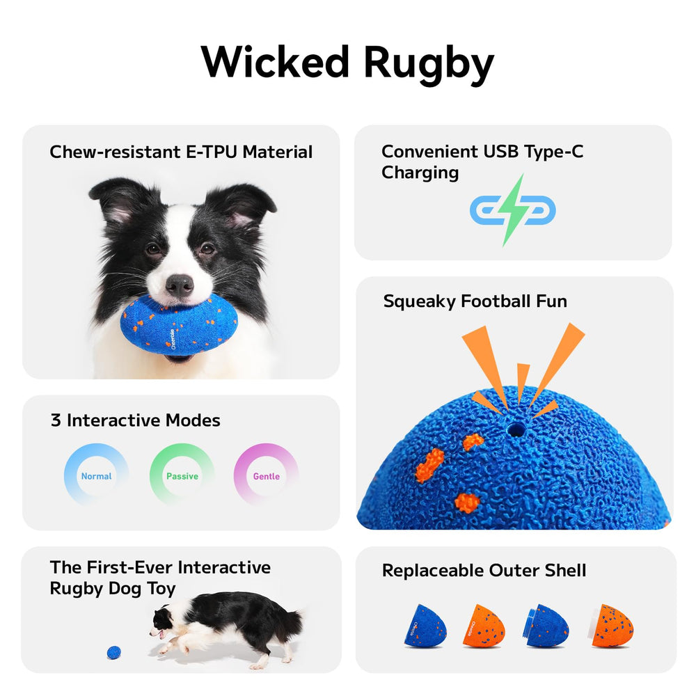Cheerble Wicked Rugby toy bouncing to energize play sessions.
