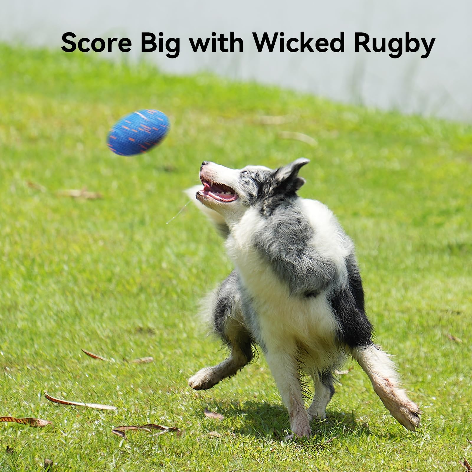 Cheerble Wicked Rugby toy indoor/outdoor use suits homes and yards.