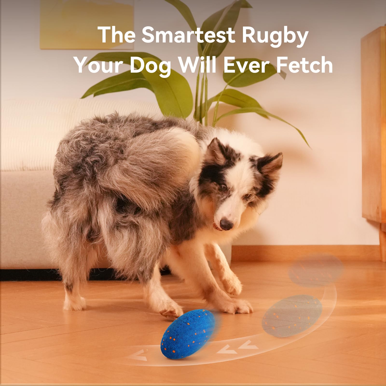Cheerble Wicked Rugby toy Type-C recharge for quick-ready play.