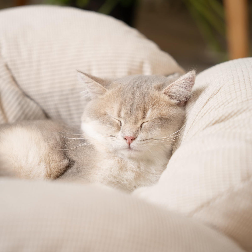 CHEERHOME PETS easy-installation with included tools for quick setup