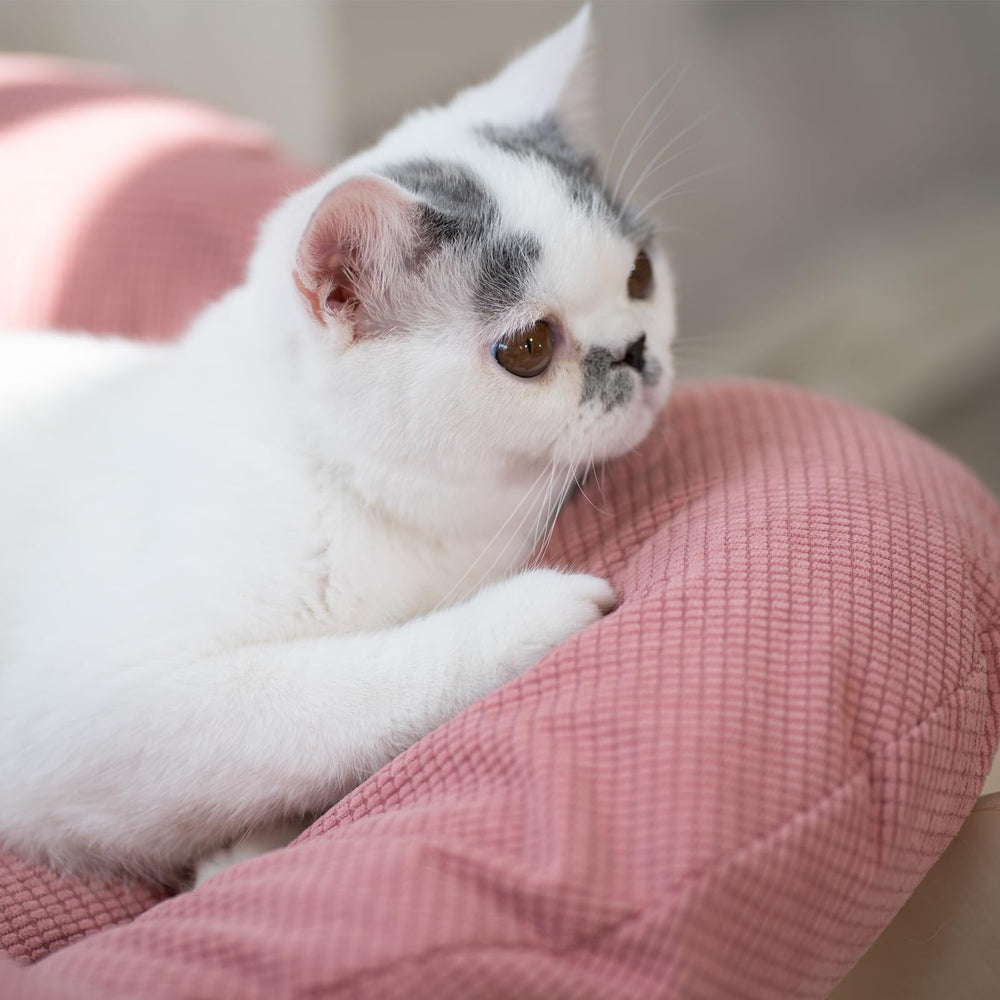 CHEERHOME PETS elevated bed in-room view demonstrates space-saving design for compact homes.