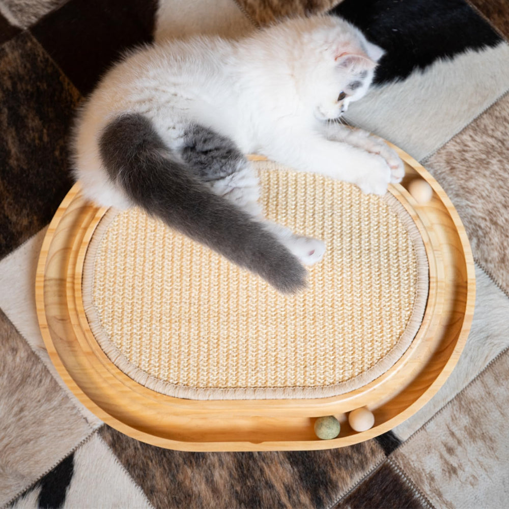 CHEERHOME PETS Indoor Cat Play makes exercise stations accessible in compact spaces.