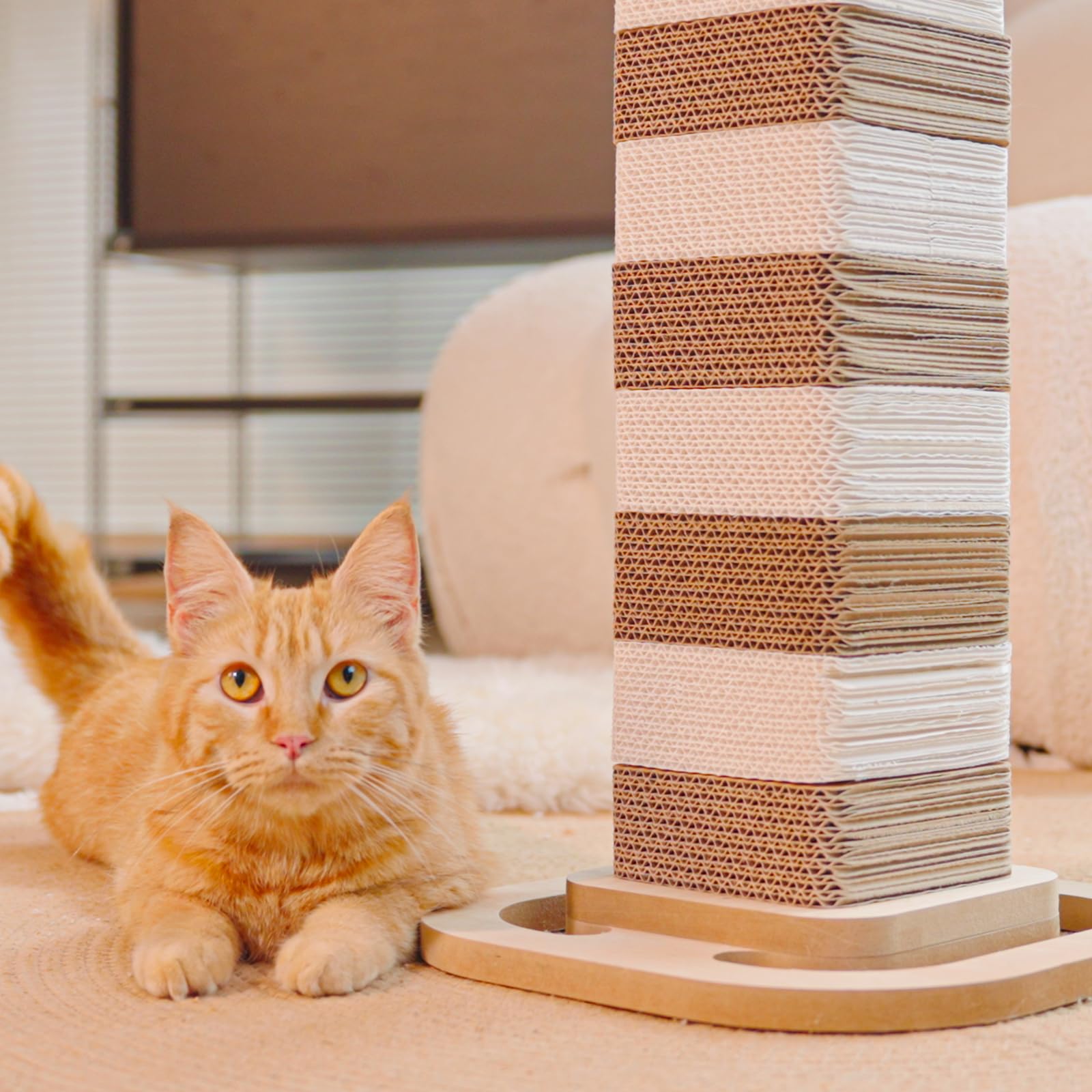 CHEERHOME PETS indoor cats enjoy shreddable texture