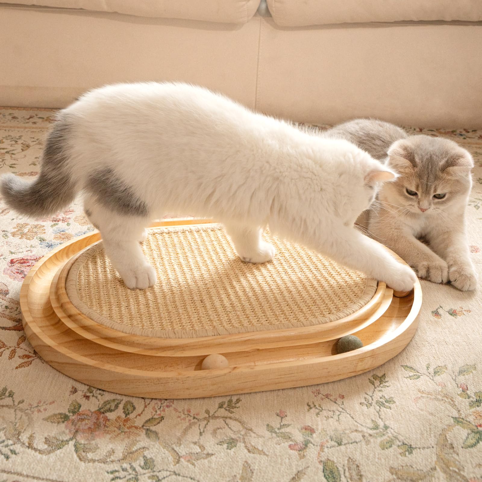 CHEERHOME PETS Ready Out-of-Box image emphasizes no setup required for instant fun.