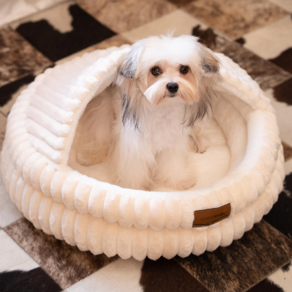CHEERPALS cat bed puppy-friendly design—great for small dogs too.