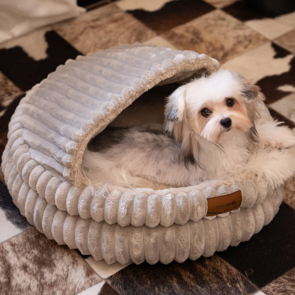 CHEERPALS cat bed round khaki unboxed shows vacuum compression recovering softness.