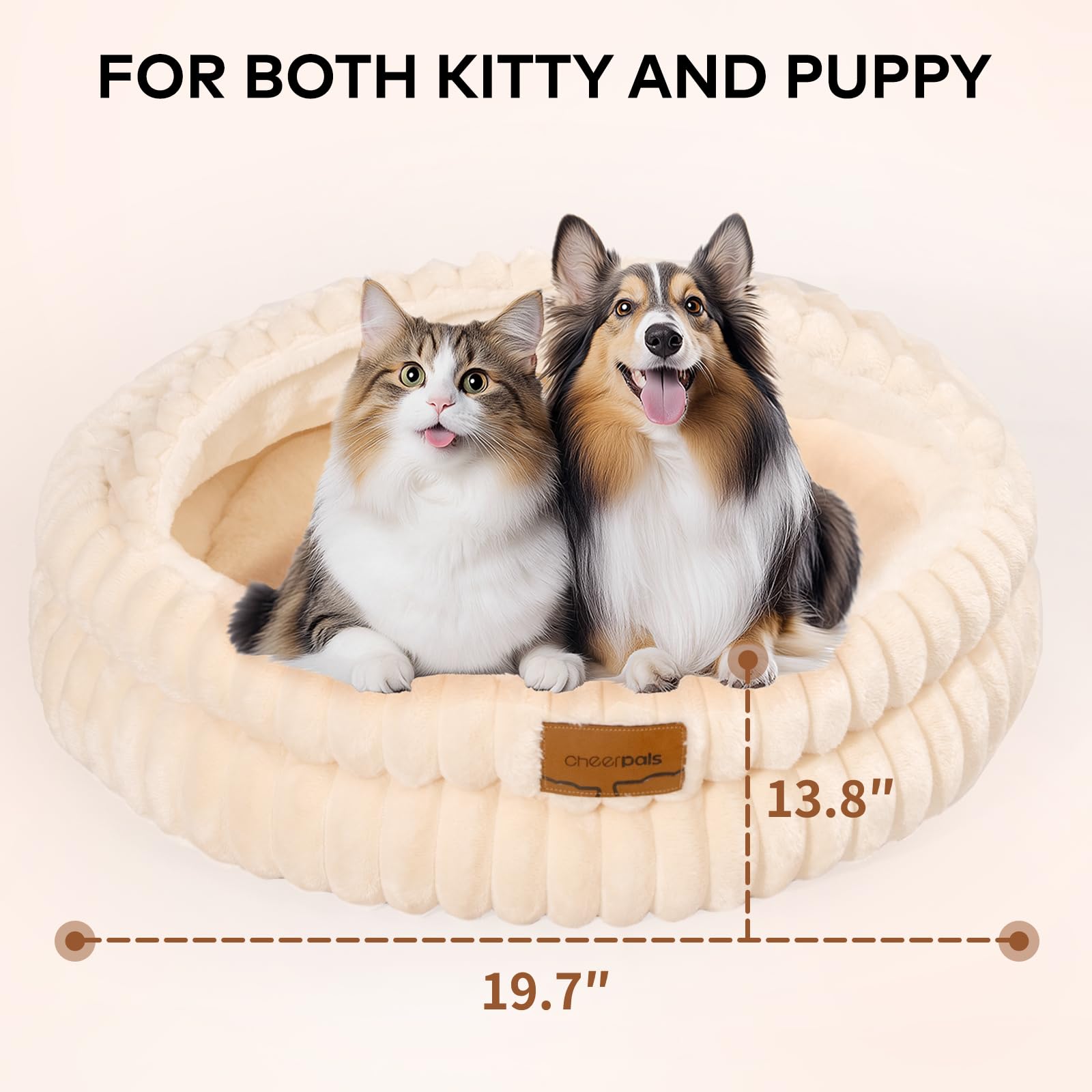 CHEERPALS cat bed unboxing expansion—bed regains shape after 48 hours.