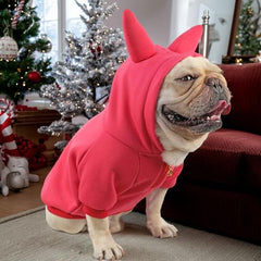 Cheertails Frenchie clothes sweater Ruby Bold Horns closeup embroidered details