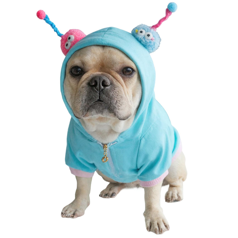 cheertails Frenchie costume front view in blue for stylish park strolls.