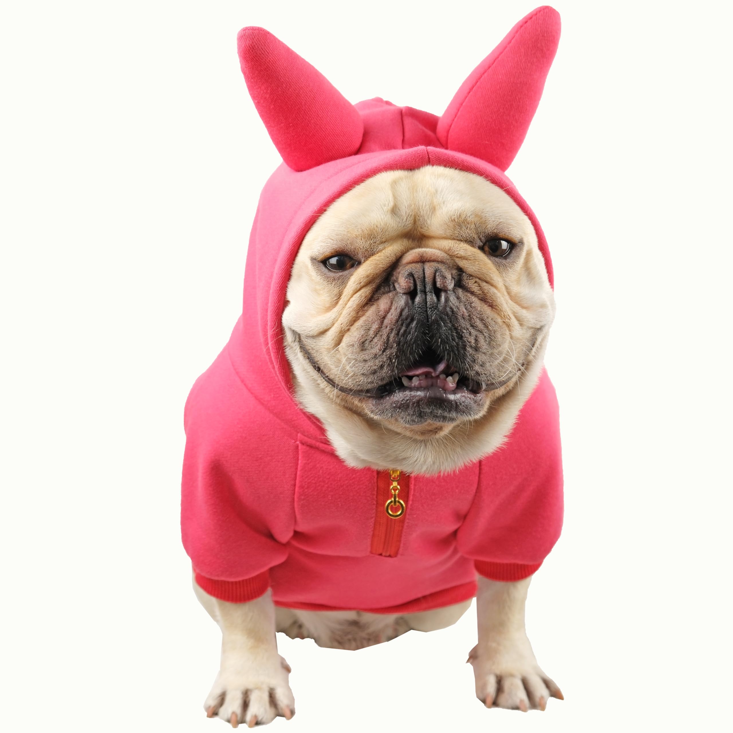 Cheertails Halloween dog costume Ruby Bold Horns front view for park parades