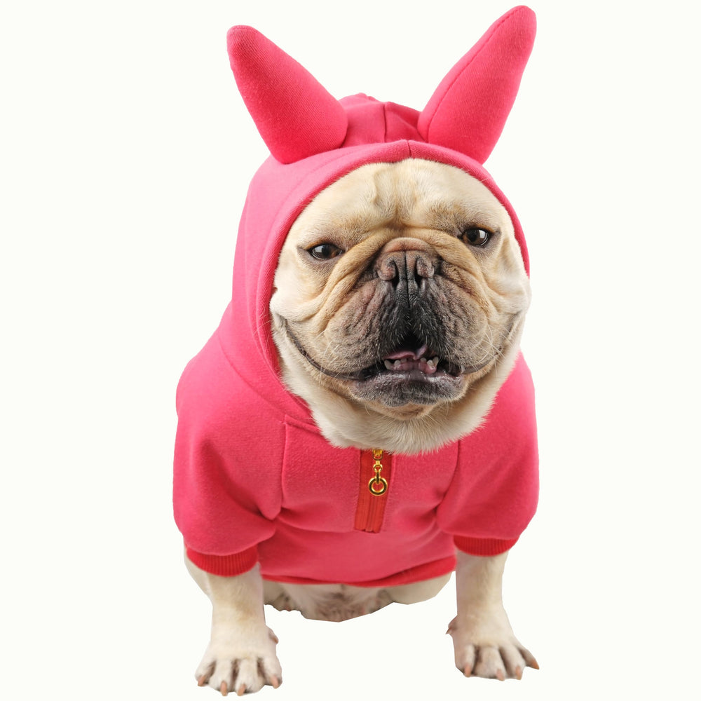 Cheertails Halloween dog costume Ruby Bold Horns front view for park parades