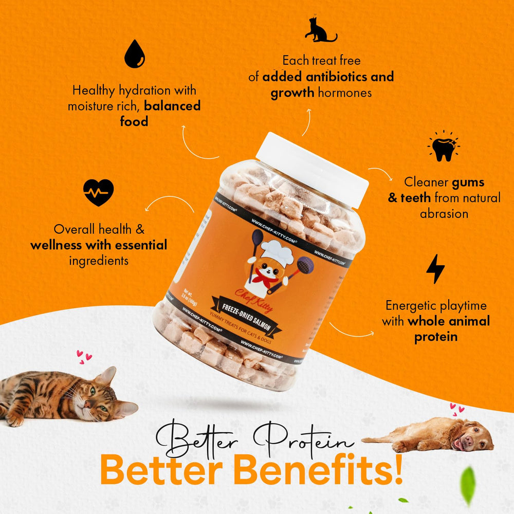 Chef Kitty freeze-dried salmon bite image illustrating natural nutrition with no additives.