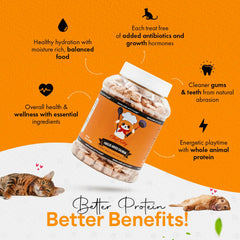 Chef Kitty freeze-dried salmon bite image illustrating natural nutrition with no additives.