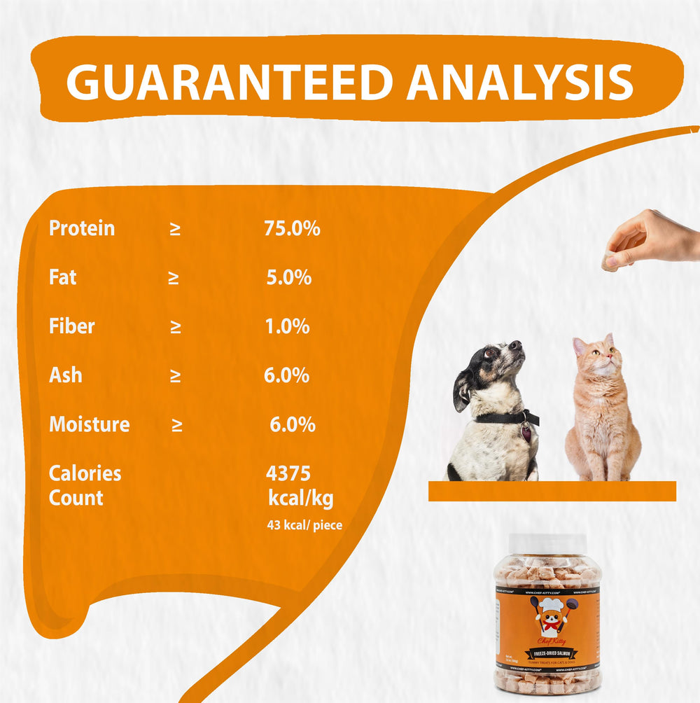 Chef Kitty no additives preservatives photo reinforces clean, pure salmon snack idea.