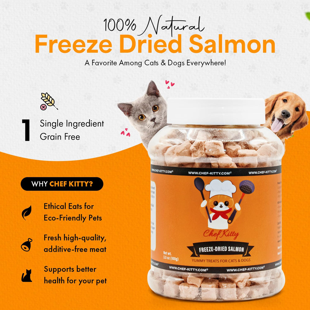 Chef Kitty salmon treat closeup showing crunchy, high-protein bites cats and dogs adore.