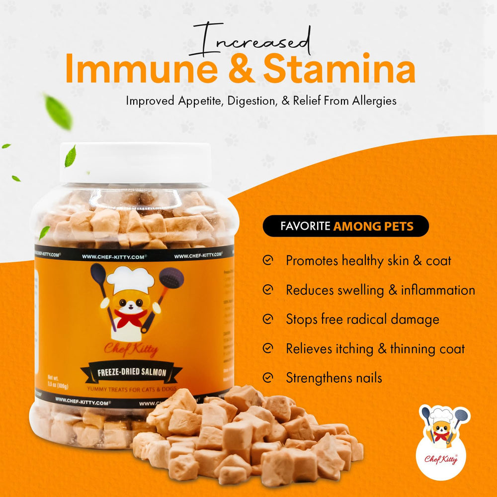Chef Kitty single-ingredient salmon label highlight simple ingredients and easy digestion appeal.