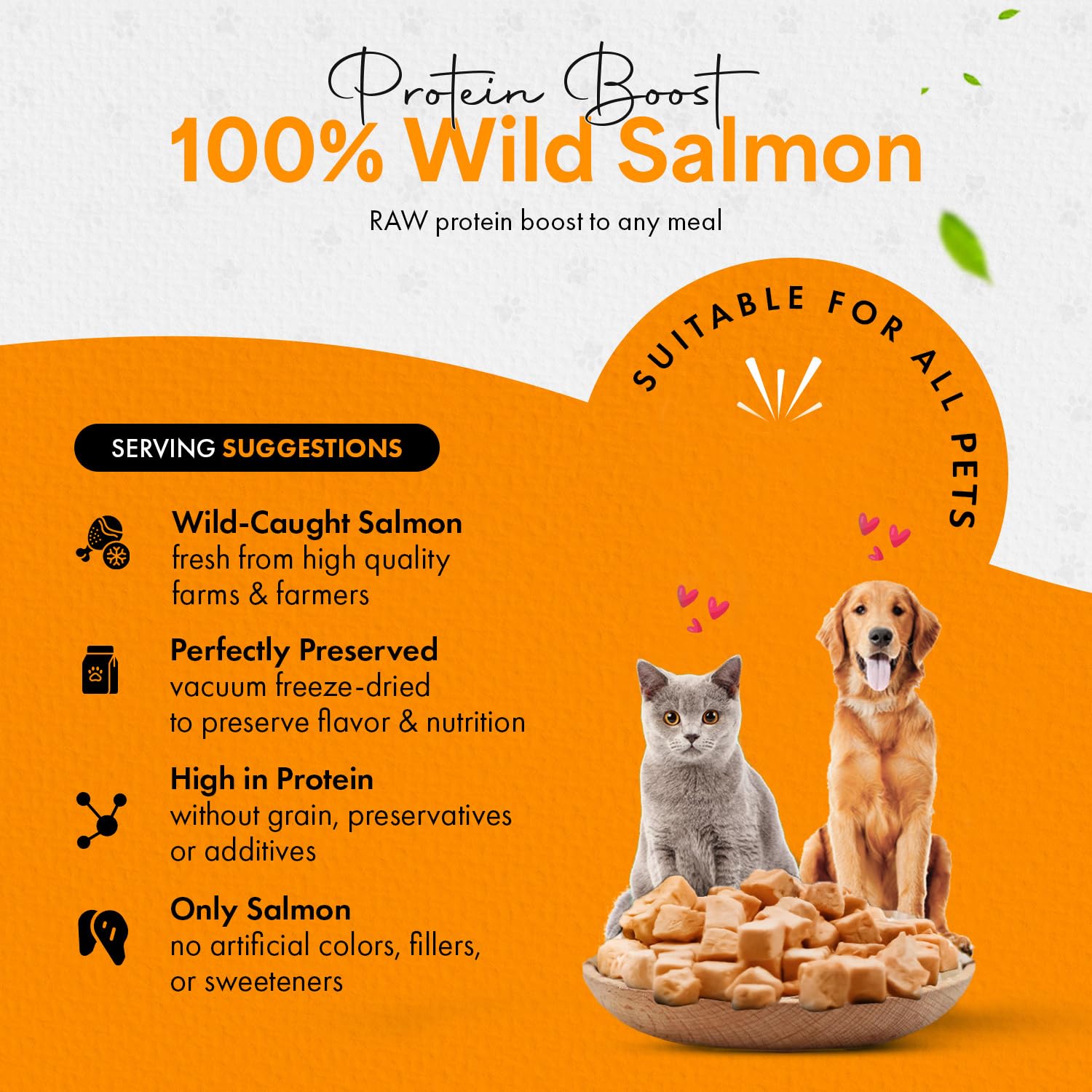 Chef Kitty 100% wild-caught salmon product photo underscoring high-quality protein for pets.