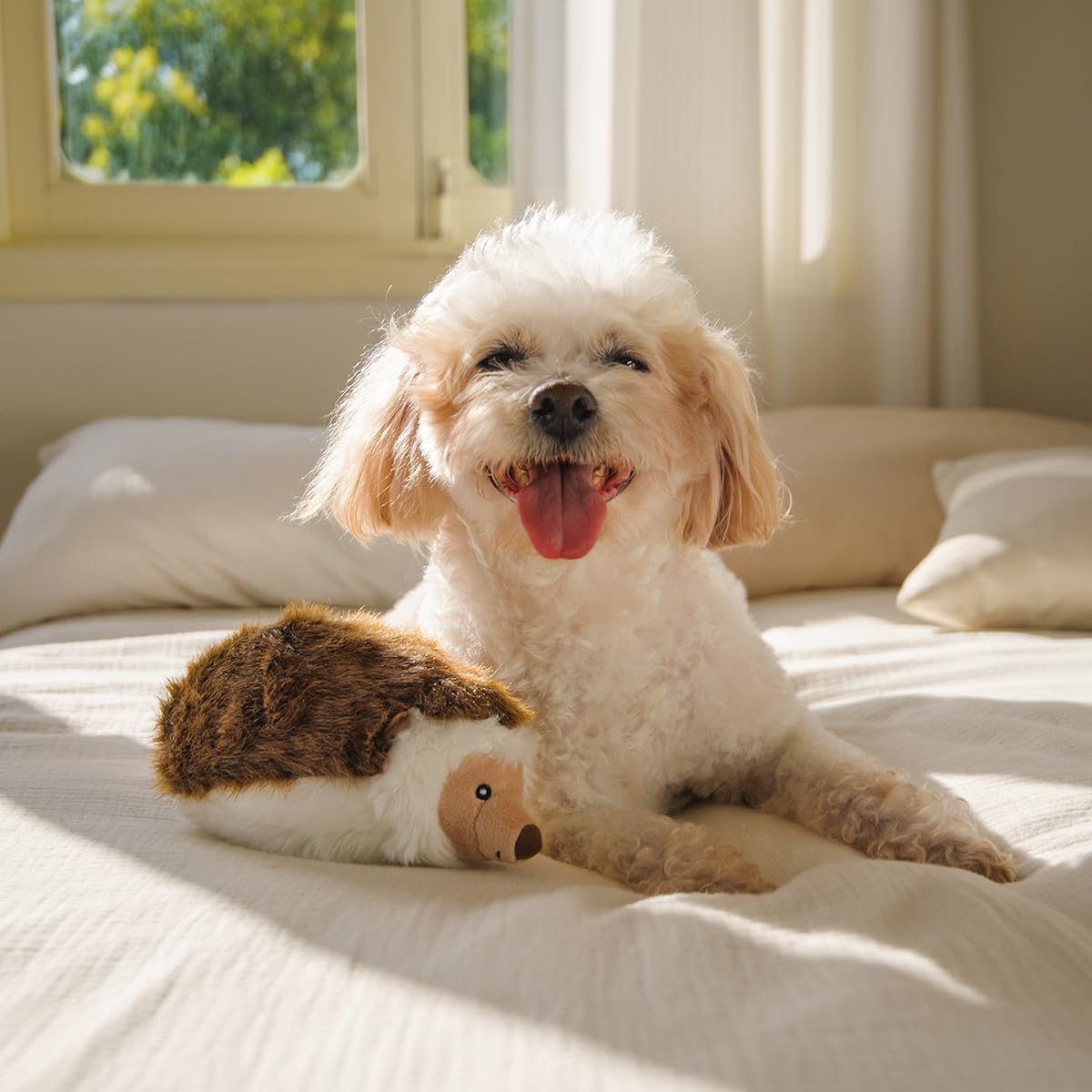 CHEWFFON Hedgehog Toy makes a thoughtful gift for dog lovers