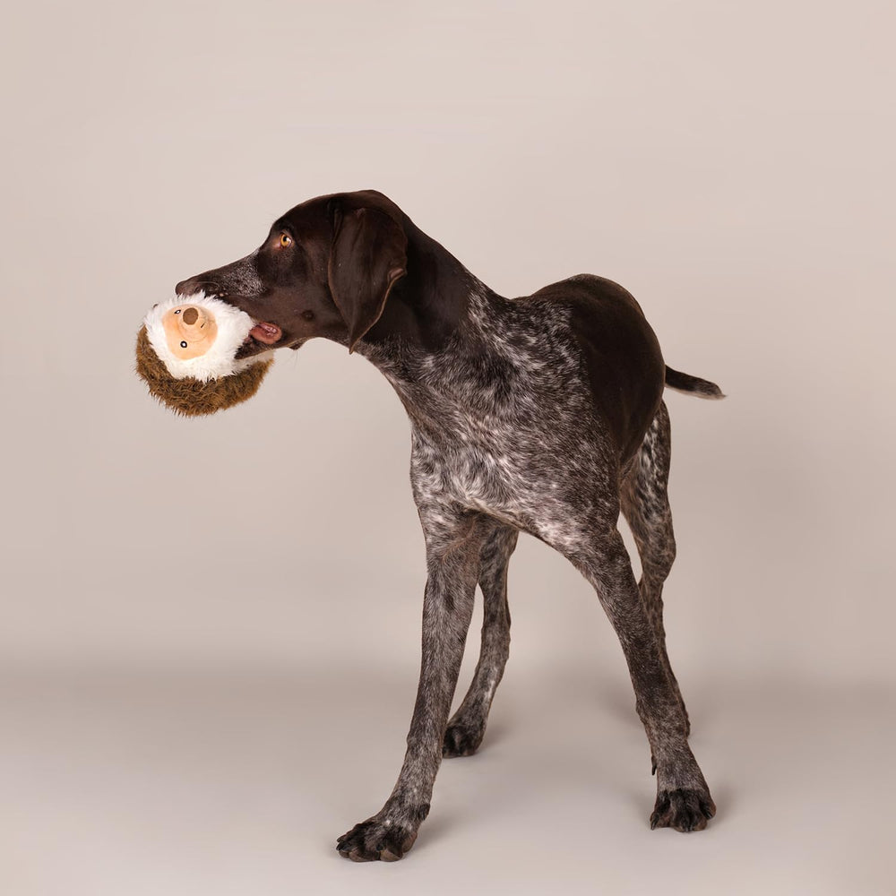 CHEWFFON Hedgehog Toy supports training and mental stimulation during play