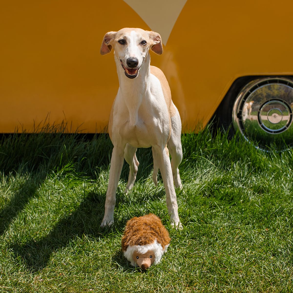 CHEWFFON Hedgehog Toy size 8.7 x 5 x 4 inches for all dogs