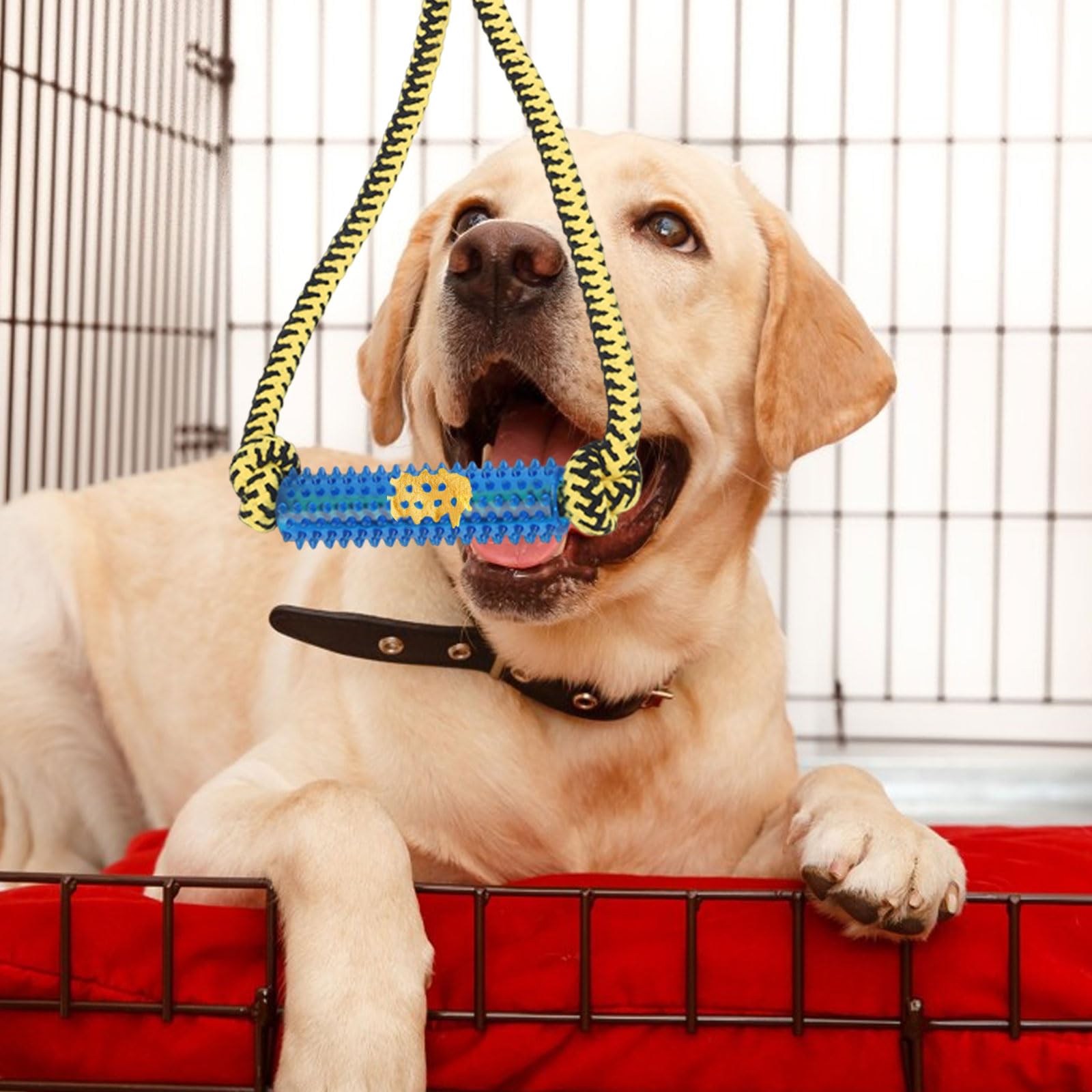 ChengFu teething toy blue setup ideal for small to medium dogs during crate time.