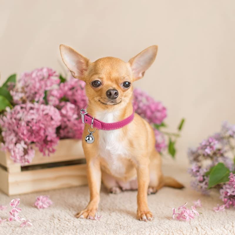 ChengFu XXS pink dog collar inner tarp reduces friction on skin
