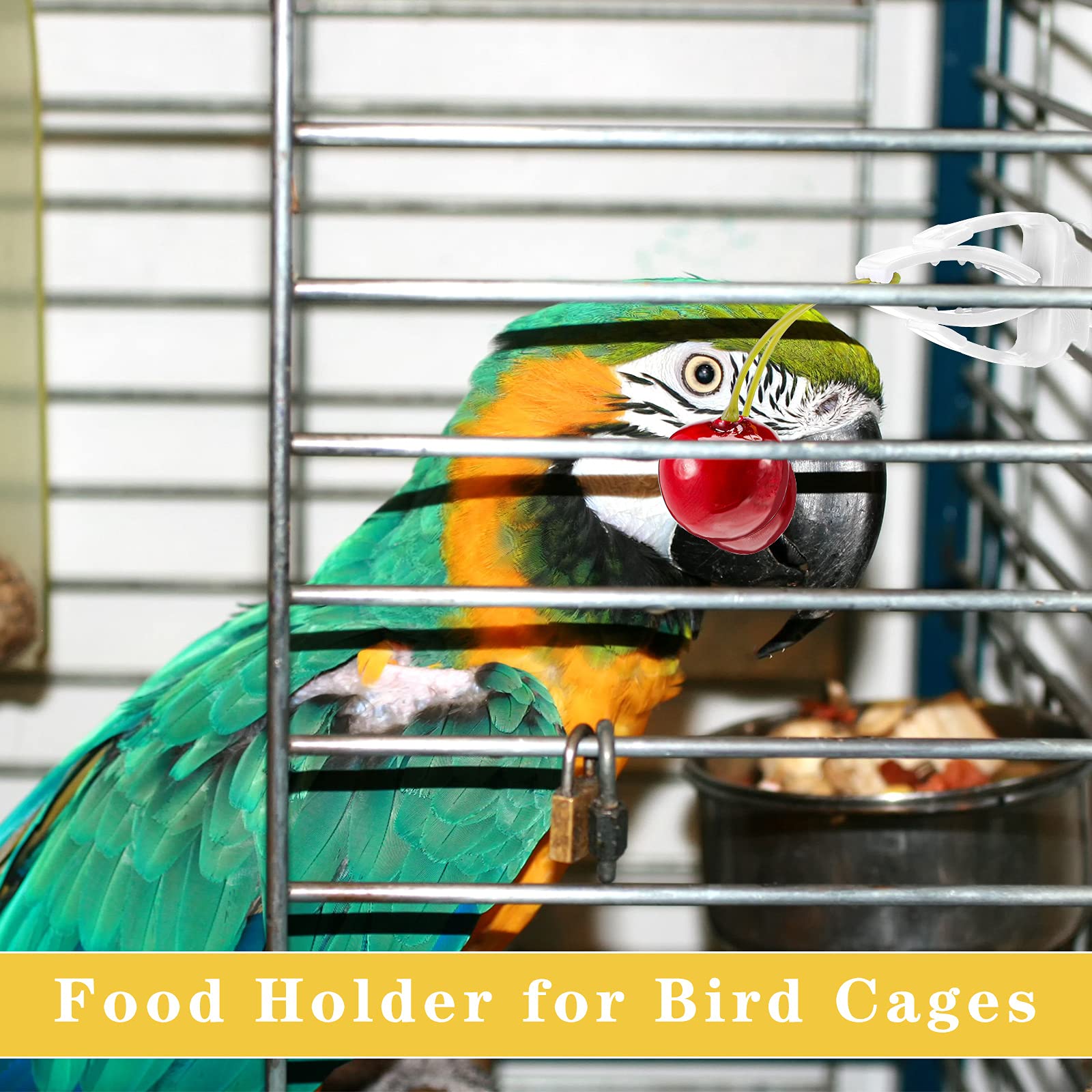CHENGU small-bird accessory clip enhances tidy feeding for parakeets and canaries.