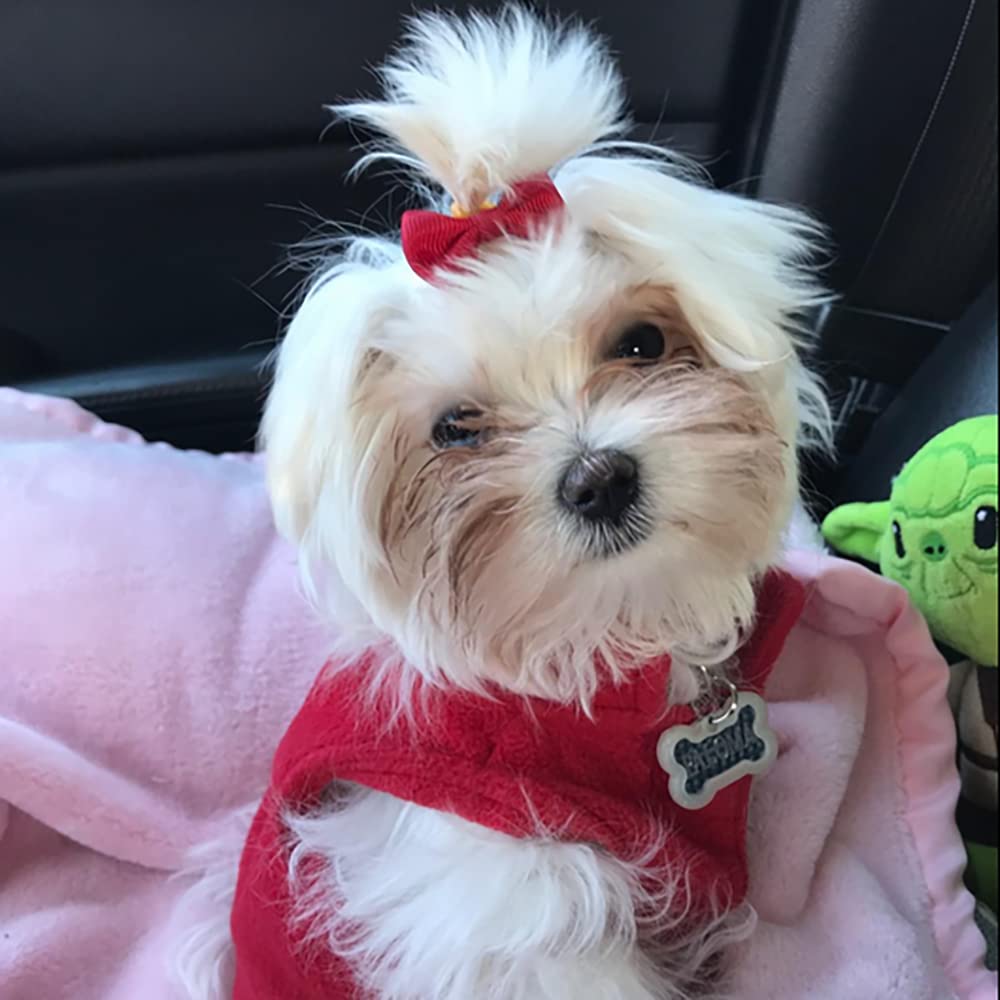 Great for grooming, photos, parties, and everyday pup fashion