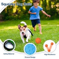CHEODIN indestructible squeaky ball fetch and water play ready for outdoor fun