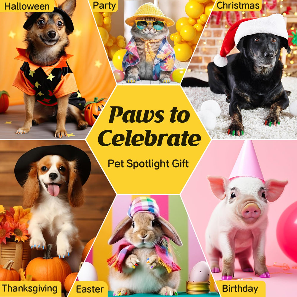Cherocito fast-dry set with quick-color options for pets.