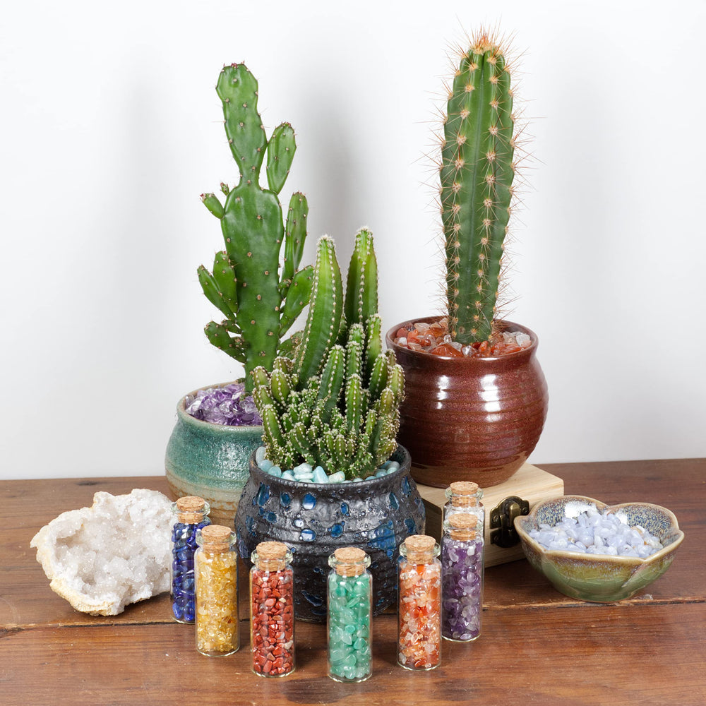Cherry Tree Collection sodalite gemstone bulk pack for DIY jewelry and terrarium accents.