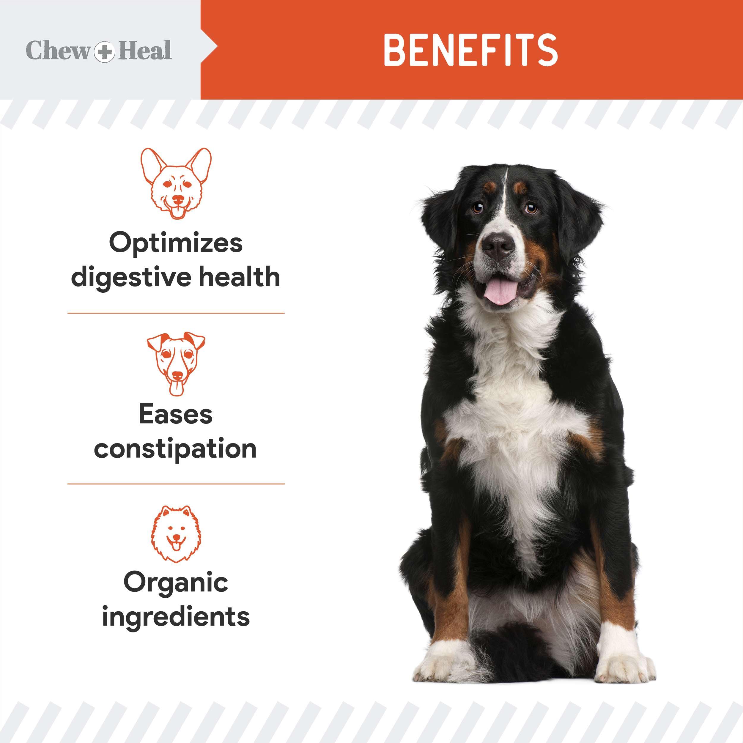 Chew + Heal Labs pumpkin-apple-carrot powder mix highlights wholesome nutrition and fiber.