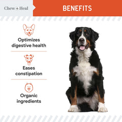 Chew + Heal Labs pumpkin-apple-carrot powder mix highlights wholesome nutrition and fiber.