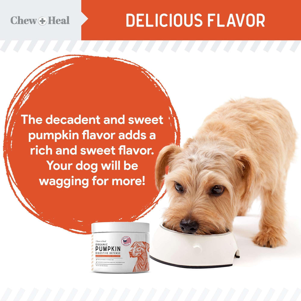 Chew + Heal Labs pumpkin powder suitable for dogs of all sizes and diets.