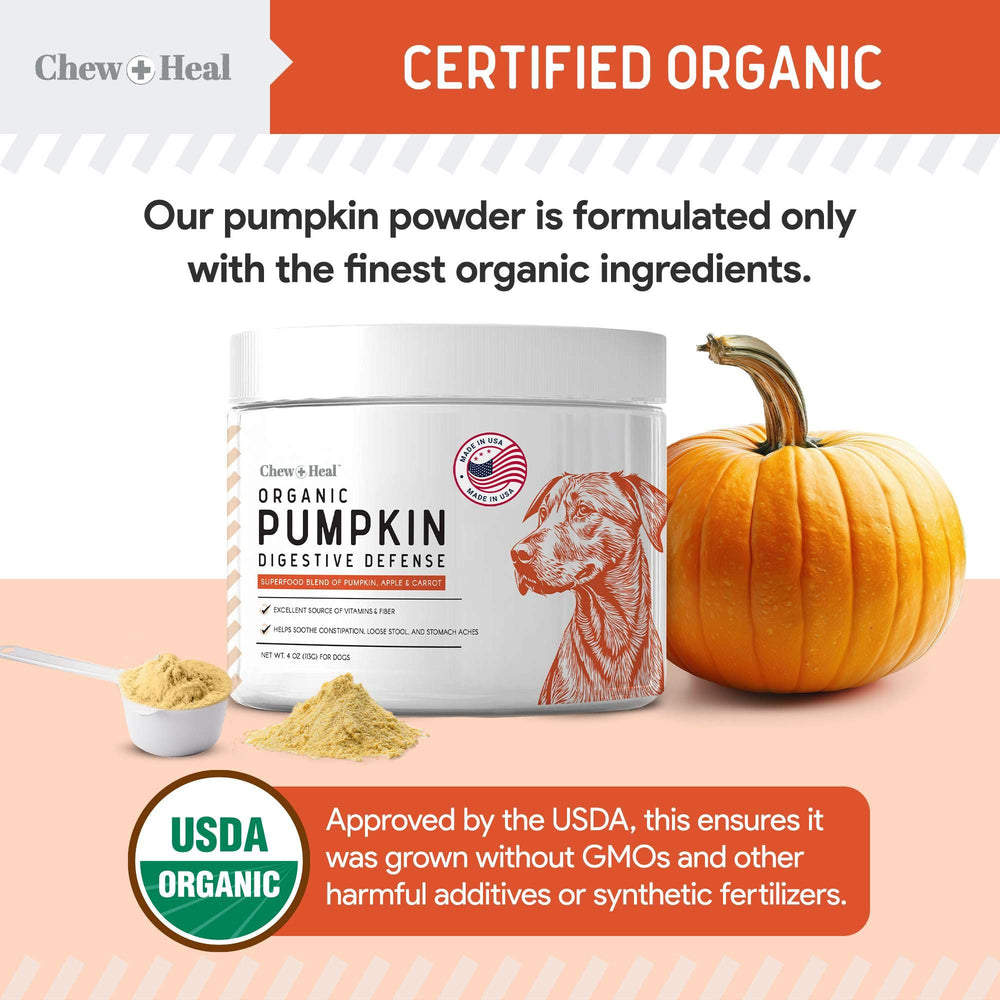 Chew + Heal Labs pumpkin powder topping on dog meals for daily nutrition.