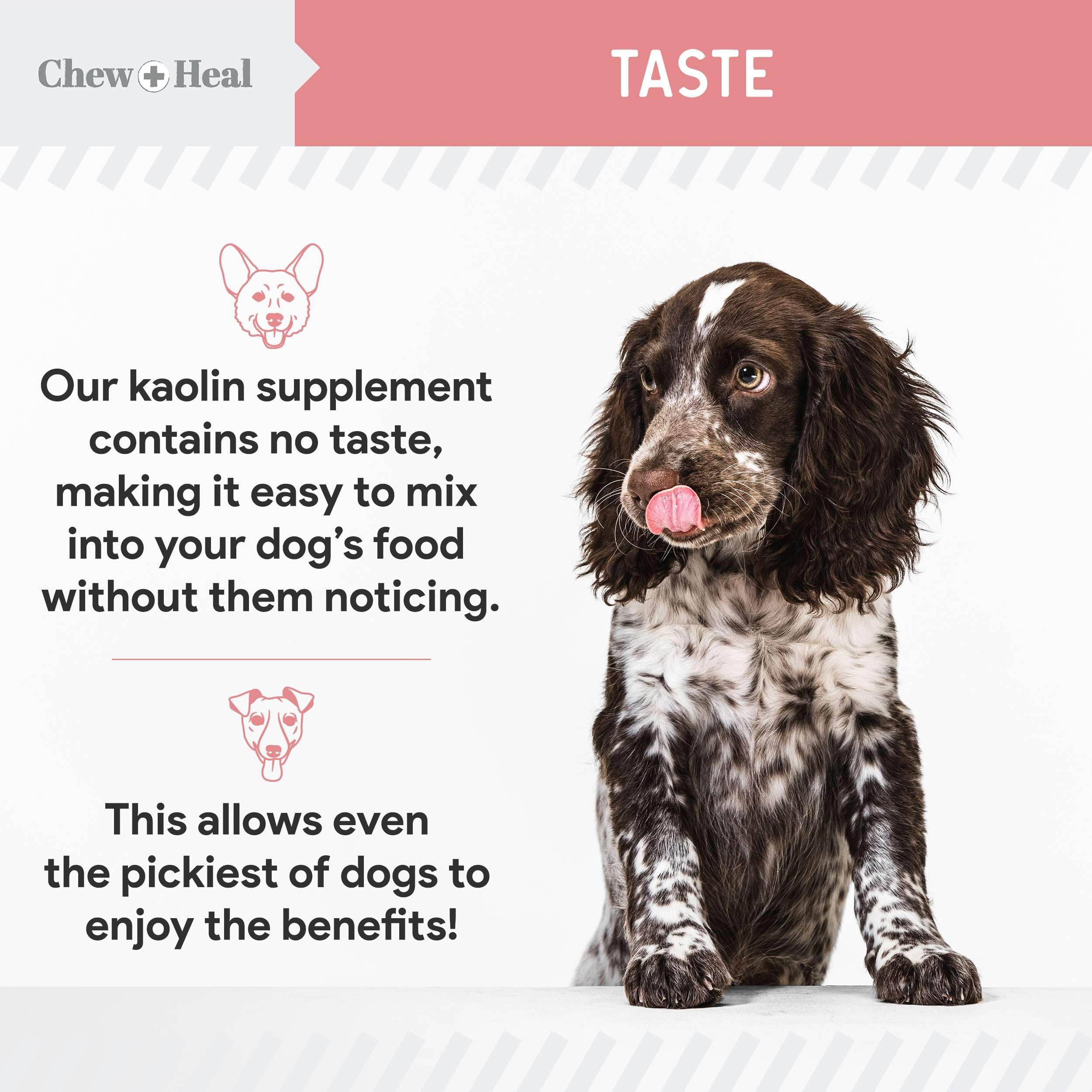 Chew + Heal Labs all-breed size suitability with a dog paw icon