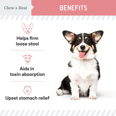 Chew + Heal Labs dispensing image demonstrates easy dosing for dogs