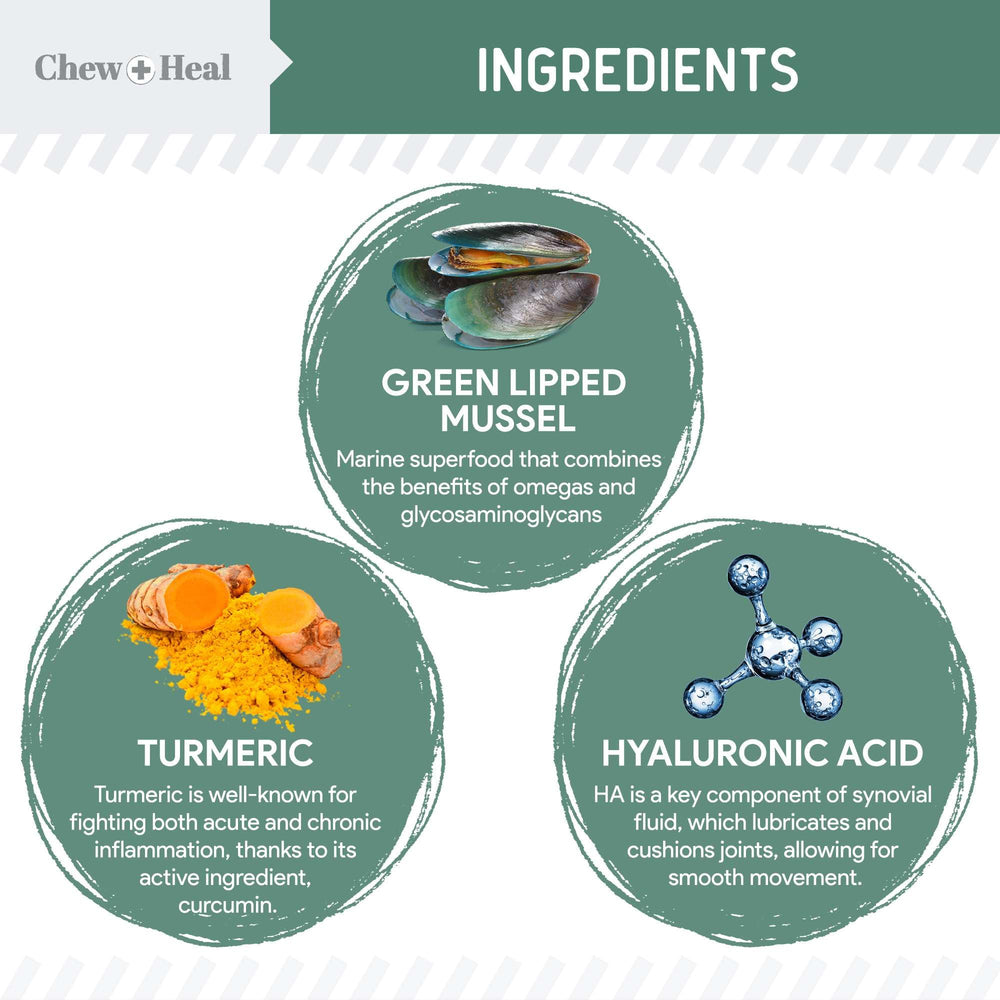 Chew + Heal Labs dog joint-support soft chews promoting comfort