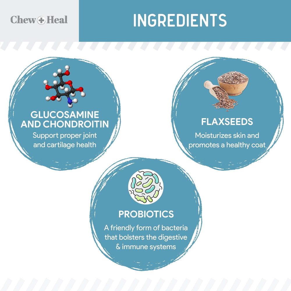 Chew + Heal Labs dog powder scoop enables easy meal mixing.