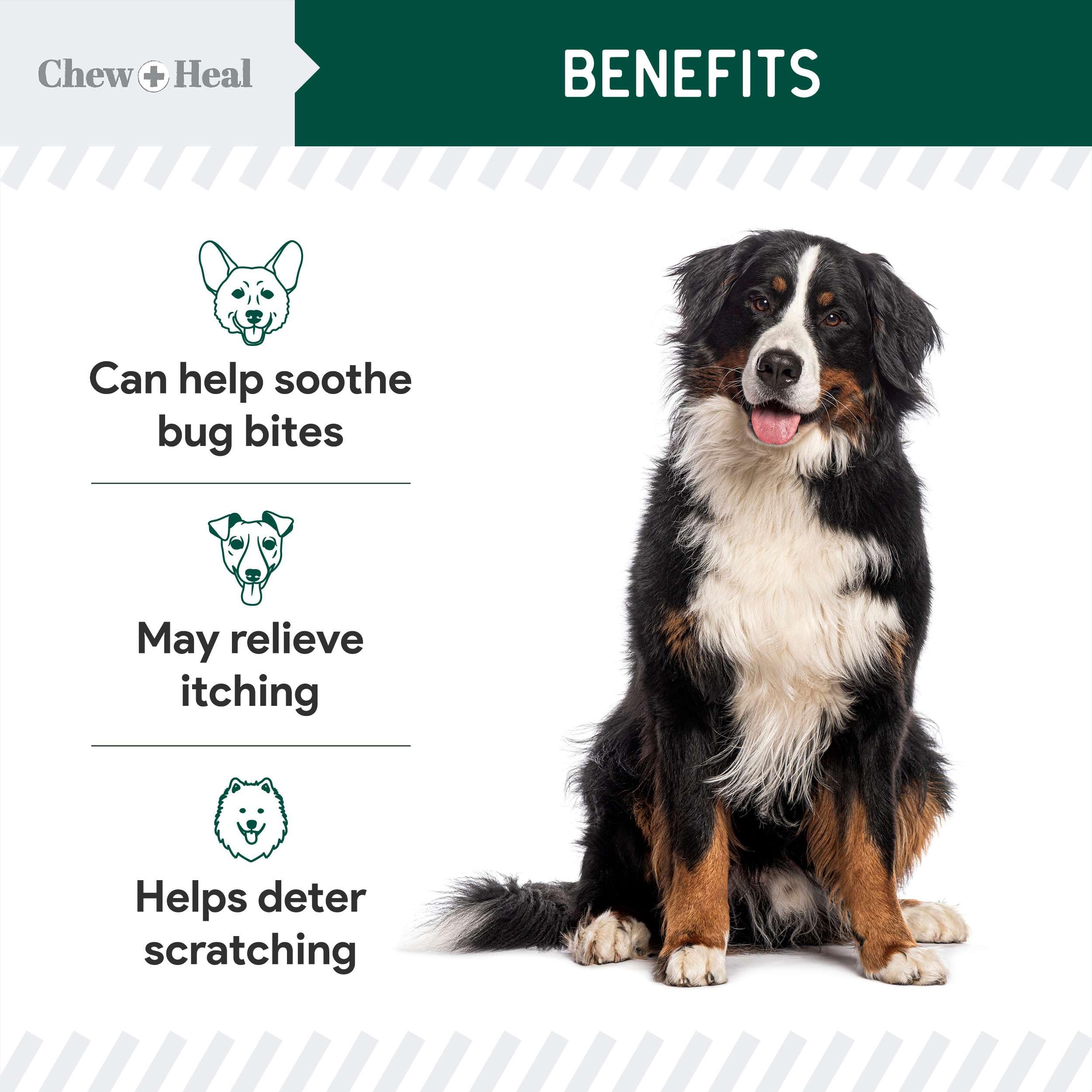 Chew + Heal Labs dog skin irritation close-up showing relief potential