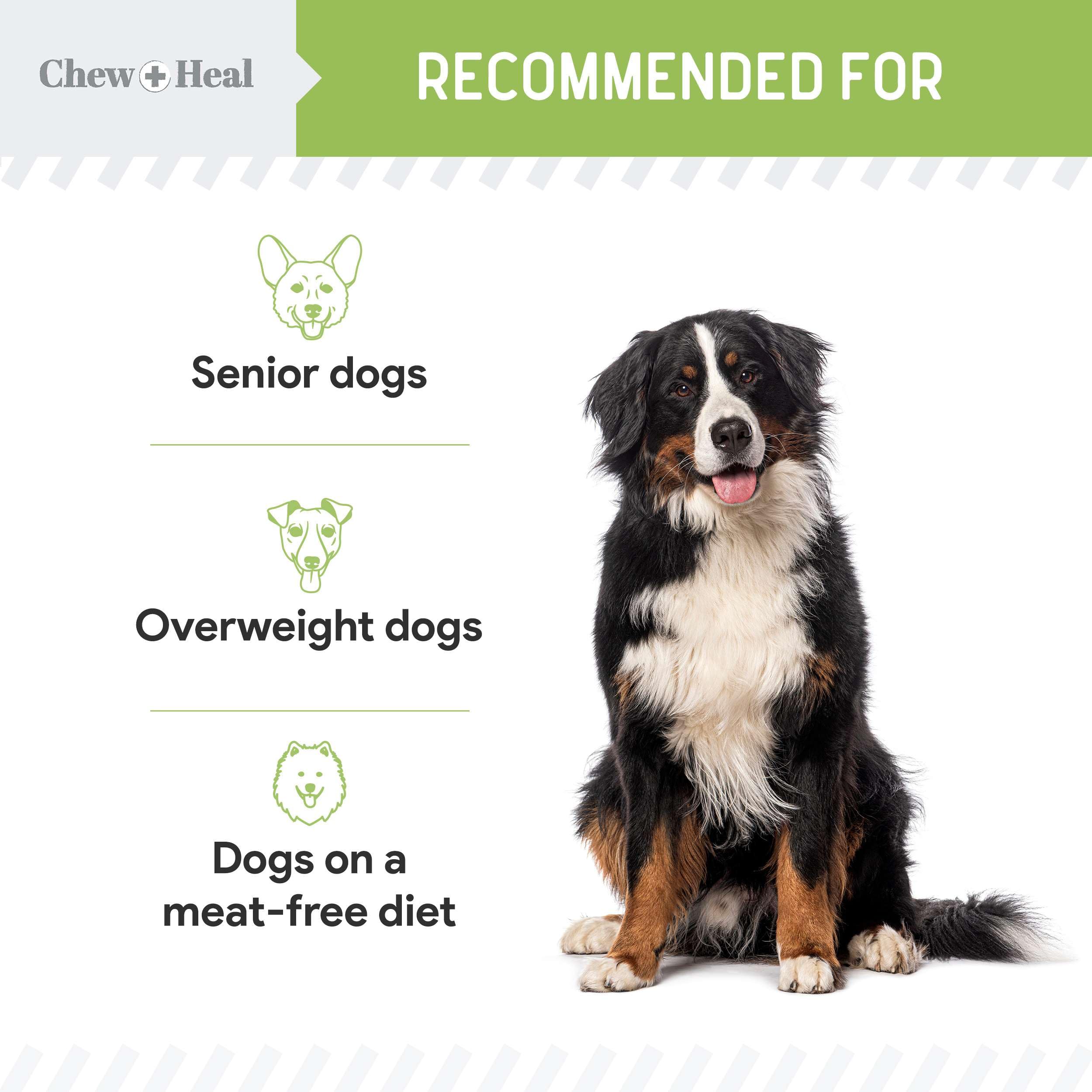 Chew + Heal Labs dog treats offering a healthy coat and skin support profile