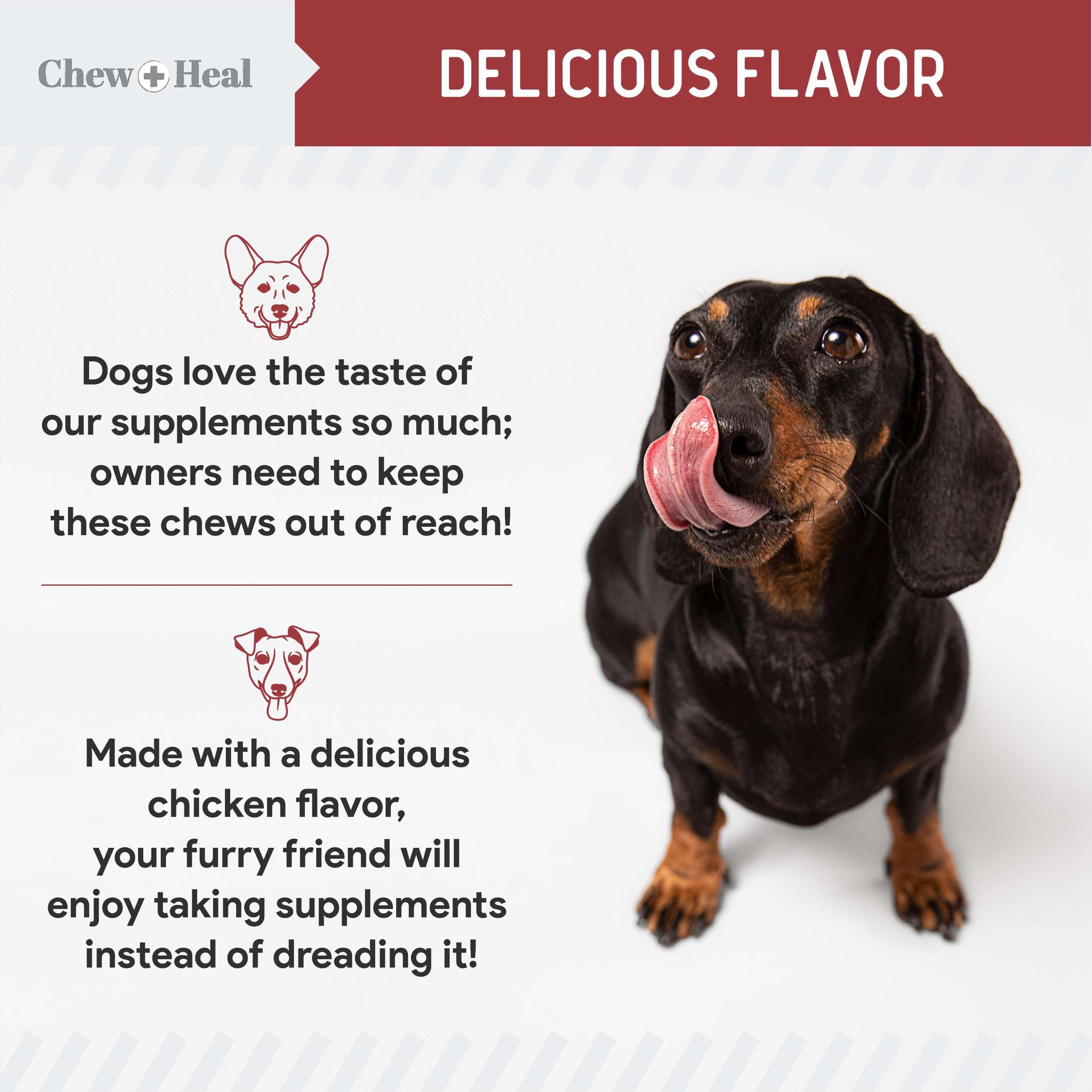 Chew + Heal Labs UTI astragalus root graphic emphasizes natural antioxidant ingredient.