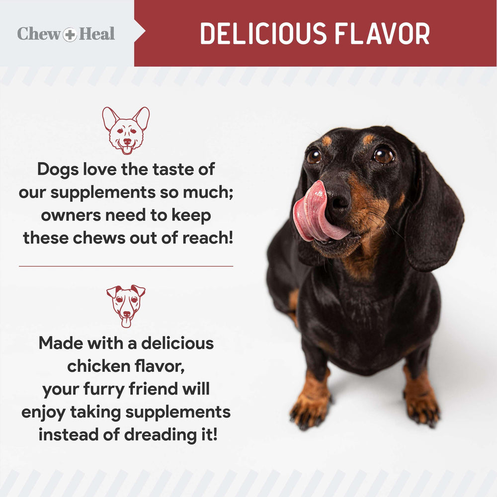 Chew + Heal Labs UTI astragalus root graphic emphasizes natural antioxidant ingredient.