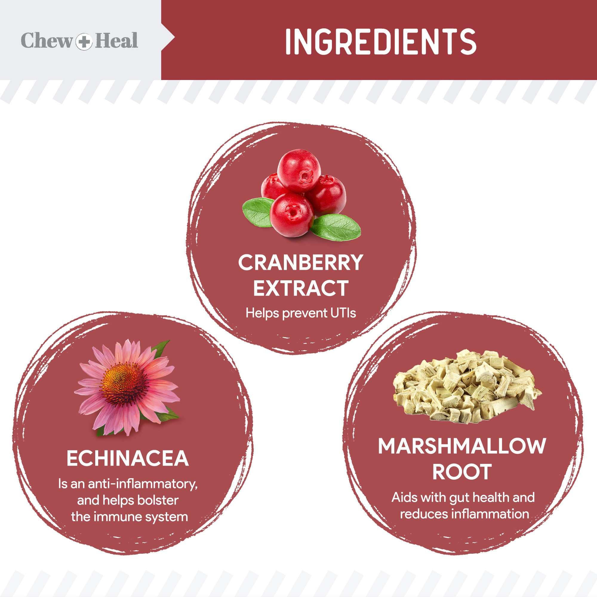Chew + Heal Labs dog UTI cranberry soft chews close-up shows tasty chicken flavor.