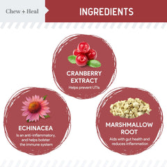 Chew + Heal Labs dog UTI cranberry soft chews close-up shows tasty chicken flavor.