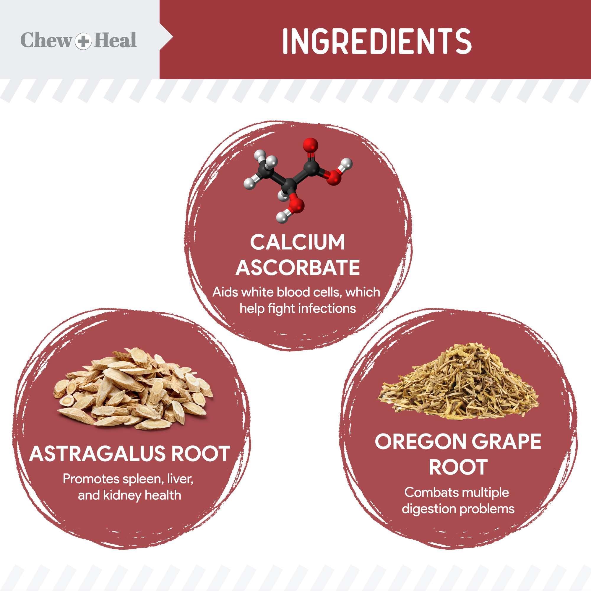 Chew + Heal Labs dog UTI cranberry soft chews packaging for convenient daily use.